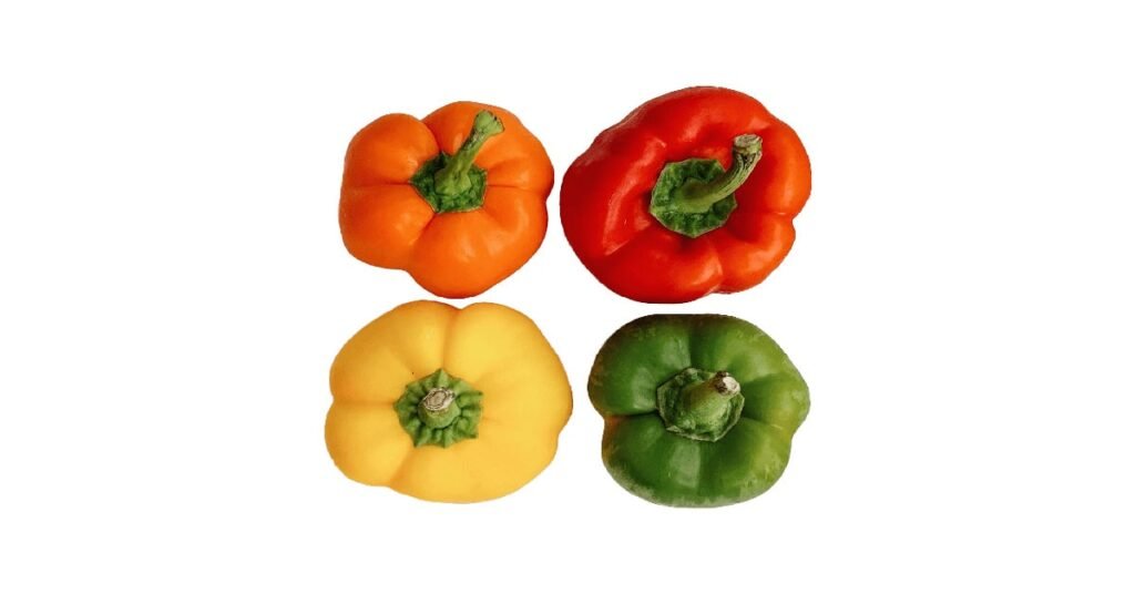 capsicum pepper PNG