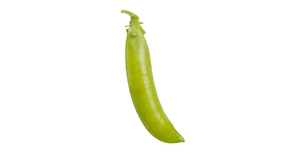 Pea Pod PNG for Free