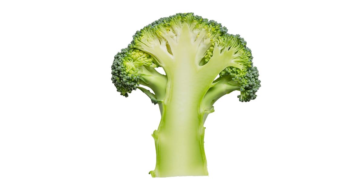 Broccoli PNG