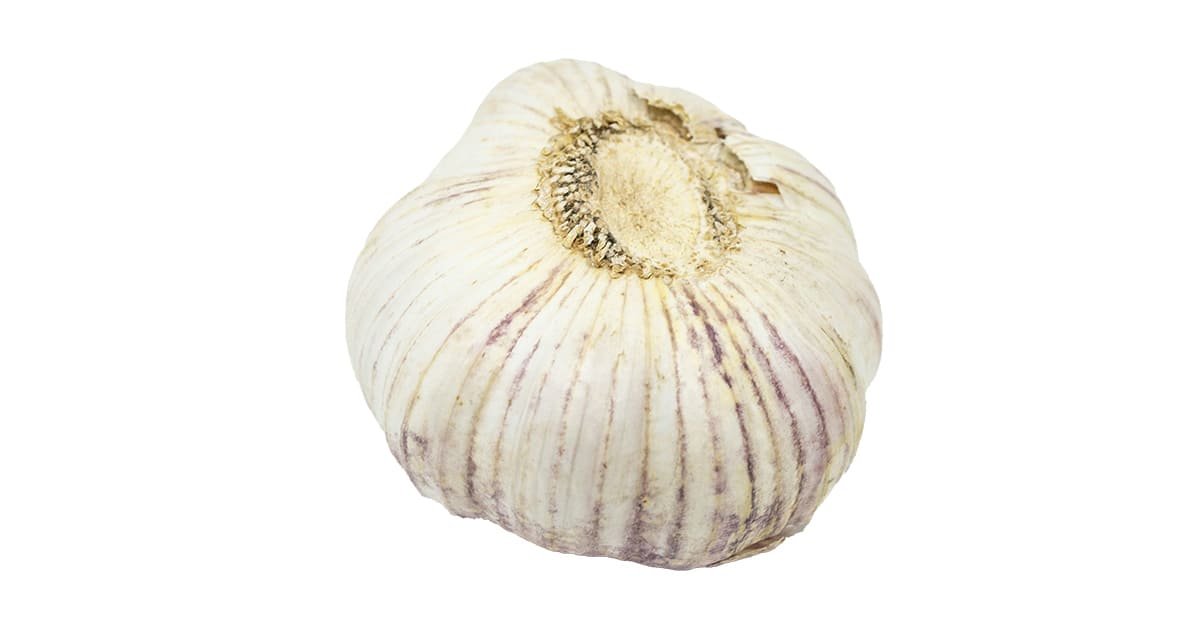 Garlic PNG