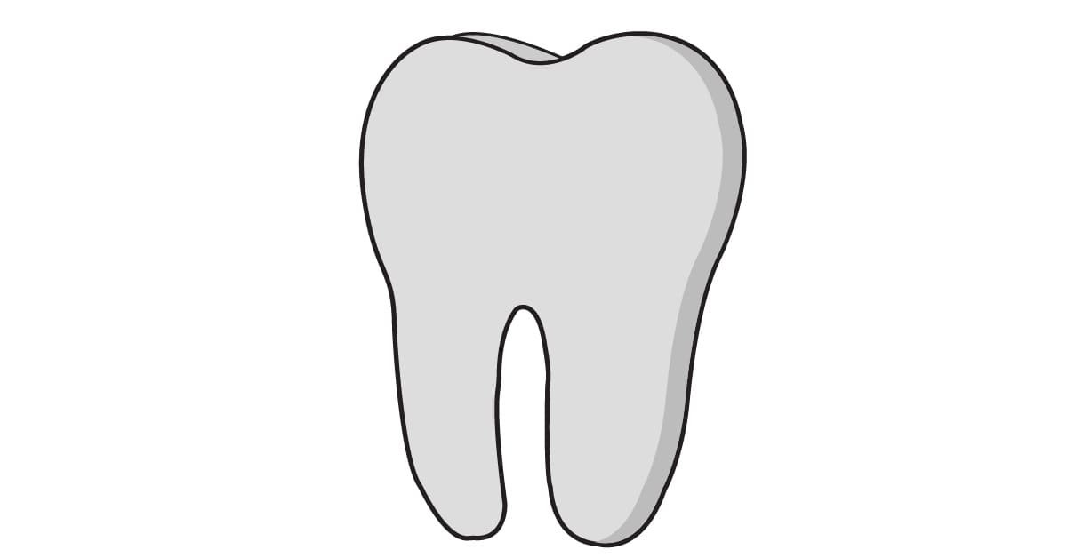 Teeth clipart PNG